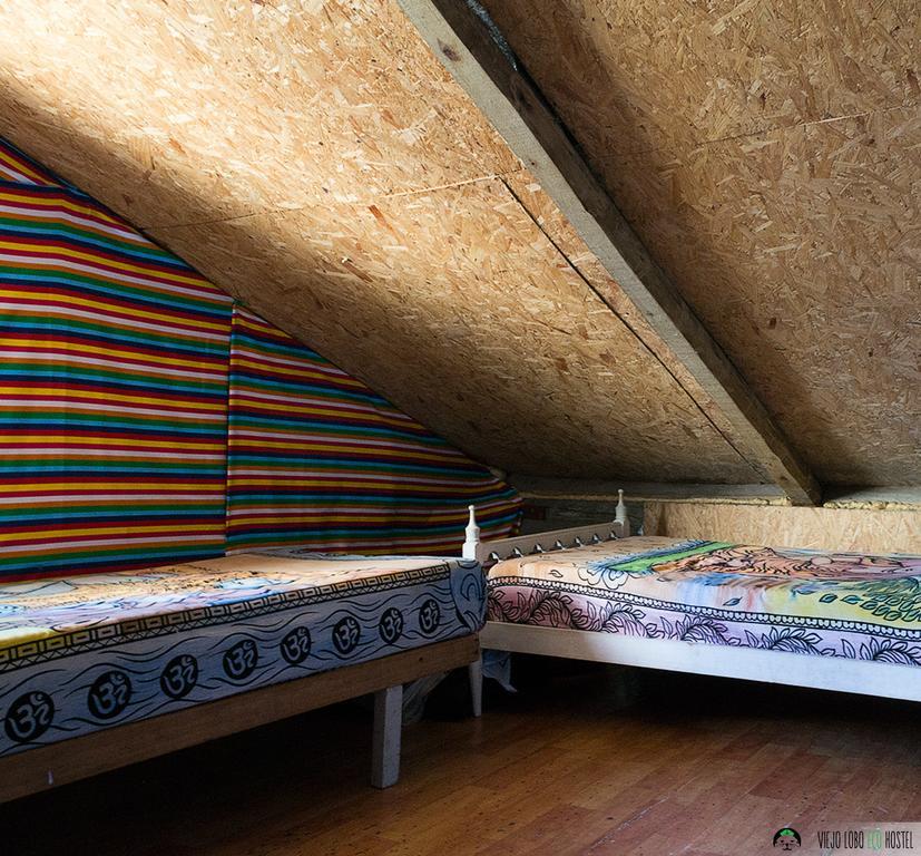 Viejo Lobo Hostel Cabo Polonio Luaran gambar