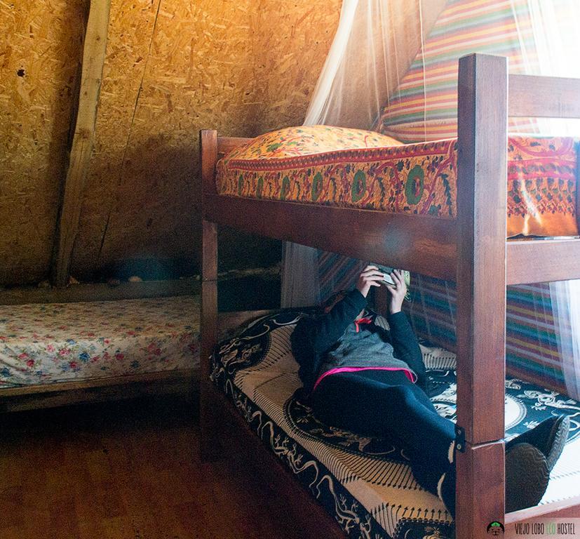 Viejo Lobo Hostel Cabo Polonio Luaran gambar