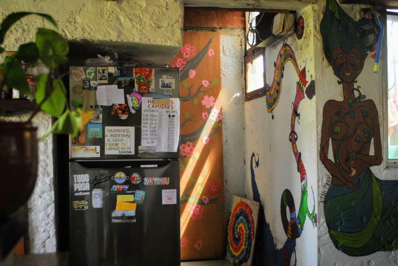 Viejo Lobo Hostel Cabo Polonio Luaran gambar